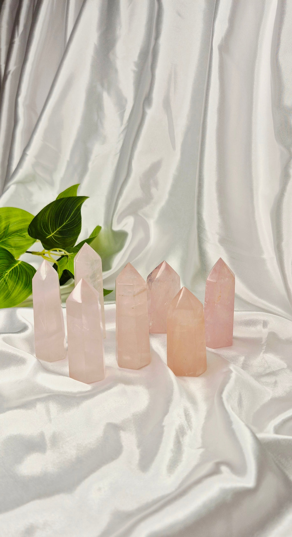 Rose Quartz Points