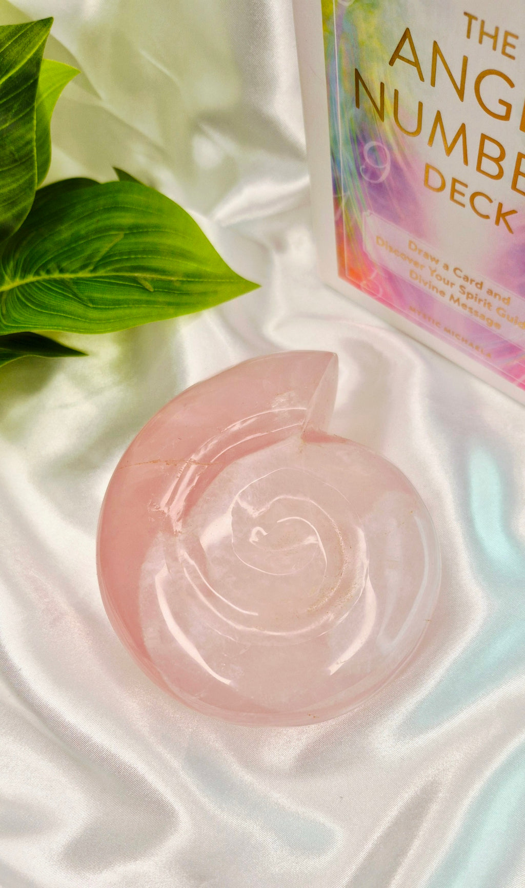 Large Rose Quartz Ammonite Carving