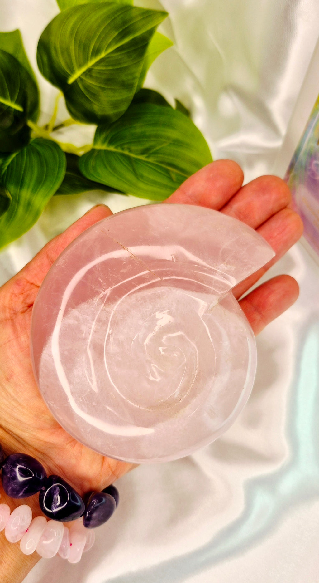 Large Rose Quartz Ammonite Carving