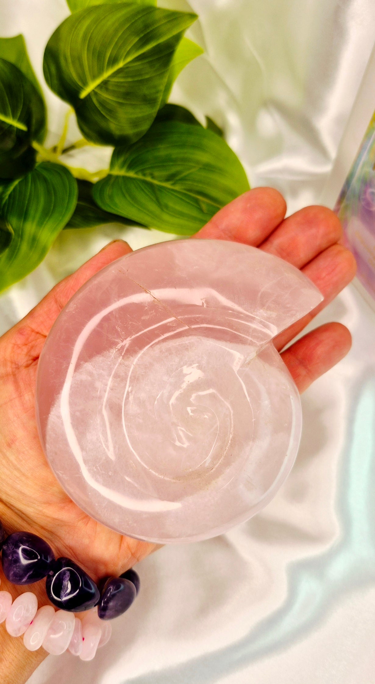 Large Rose Quartz Ammonite Carving