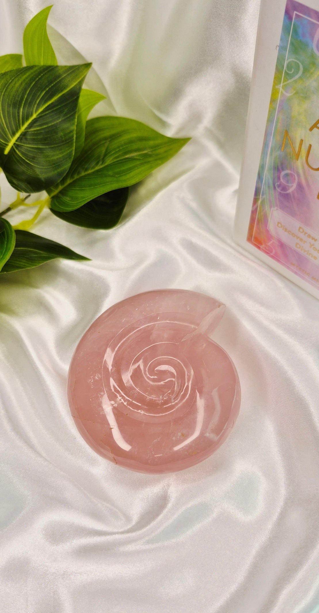 Small Ammonite Rose Quartz Carving