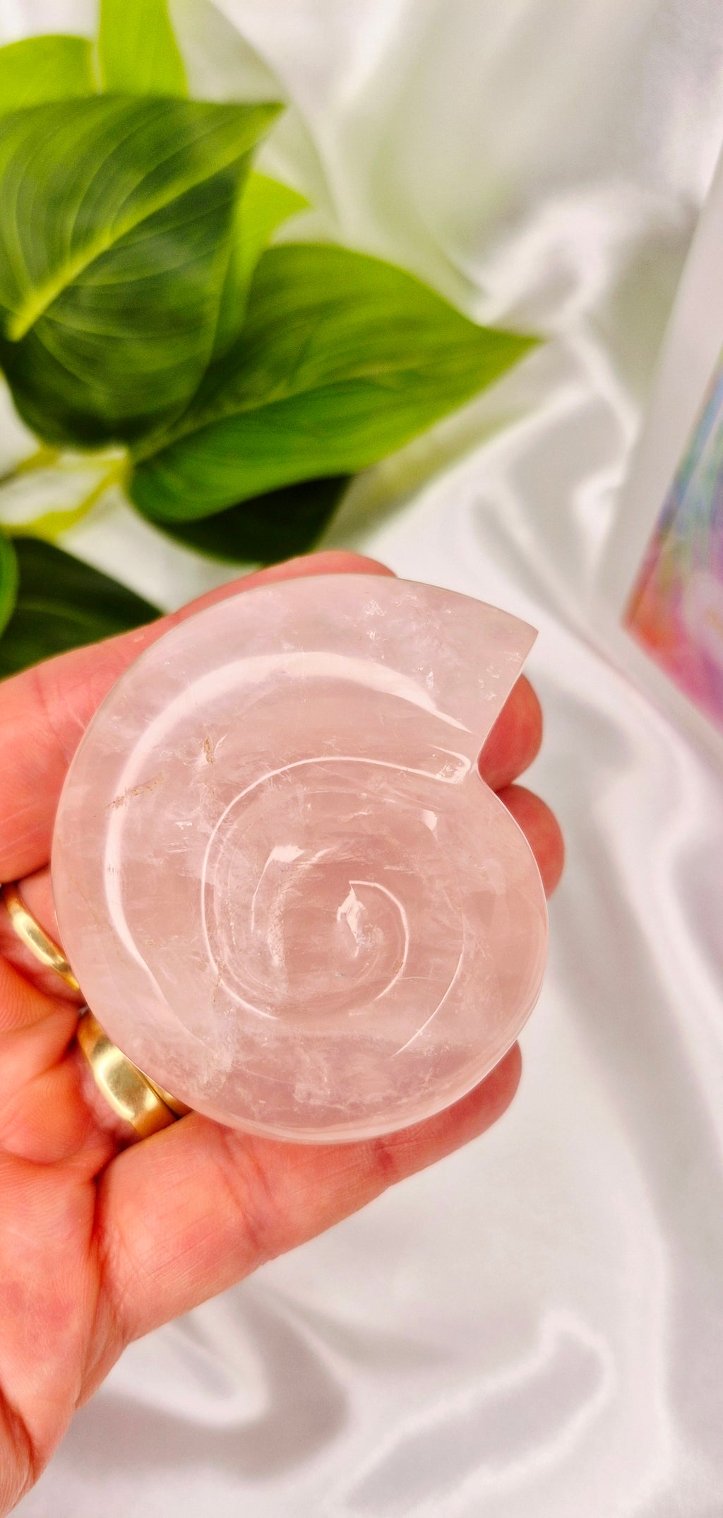Small Ammonite Rose Quartz Carving