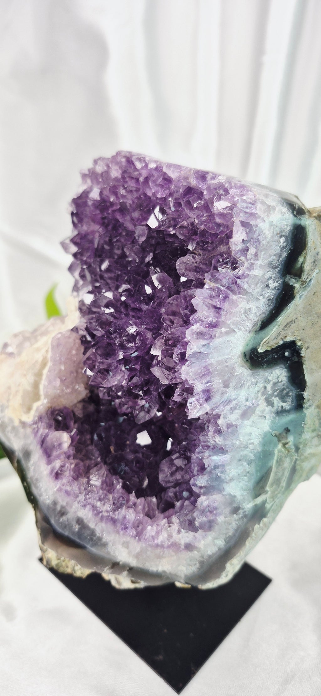 Statement Piece A Grade Amethyst Cluster on Stand