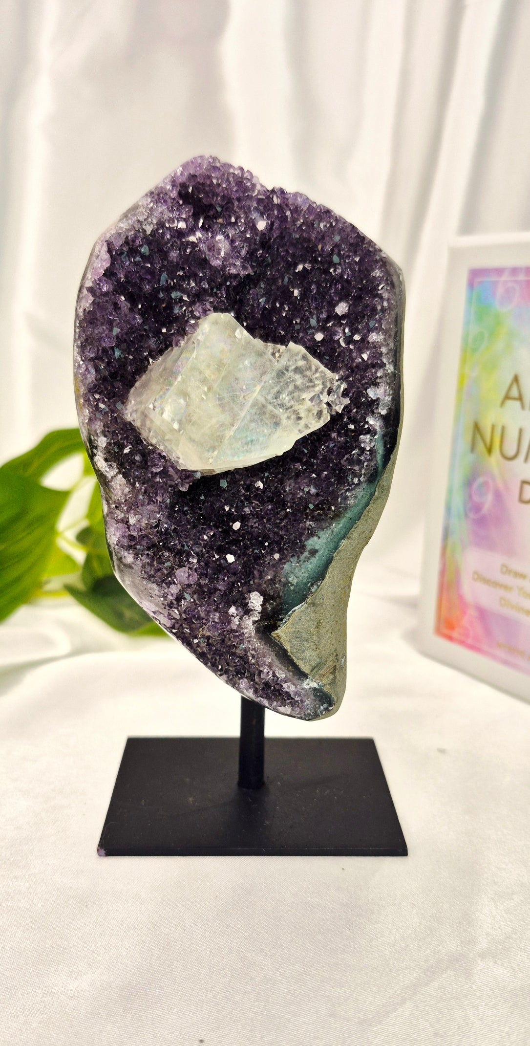 A Grade Sugar Druzy Amethyst Cluster on Stand