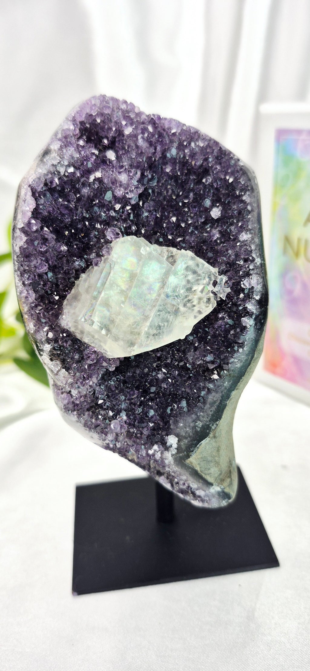A Grade Sugar Druzy Amethyst Cluster on Stand