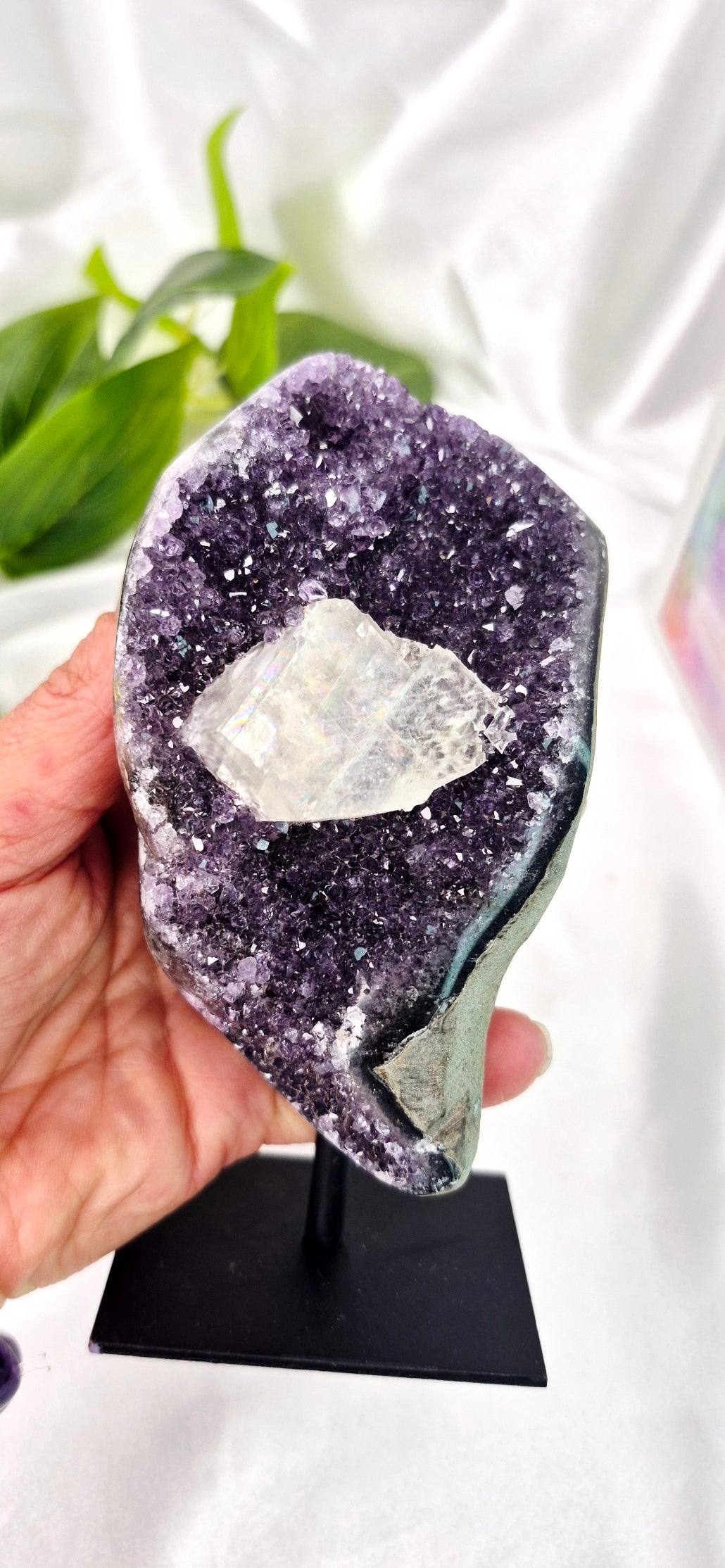 A Grade Sugar Druzy Amethyst Cluster on Stand