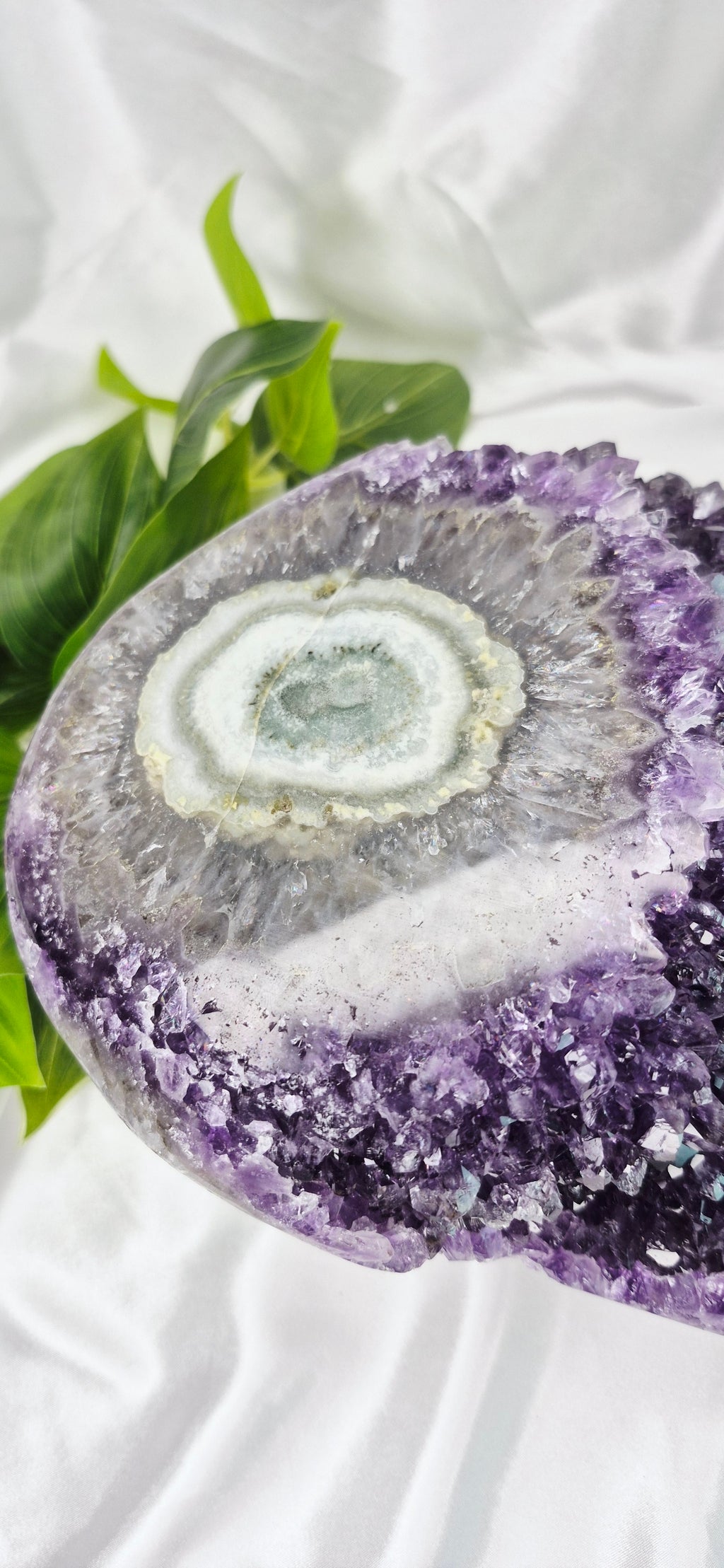 Statement Piece A Grade Amethyst Cluster