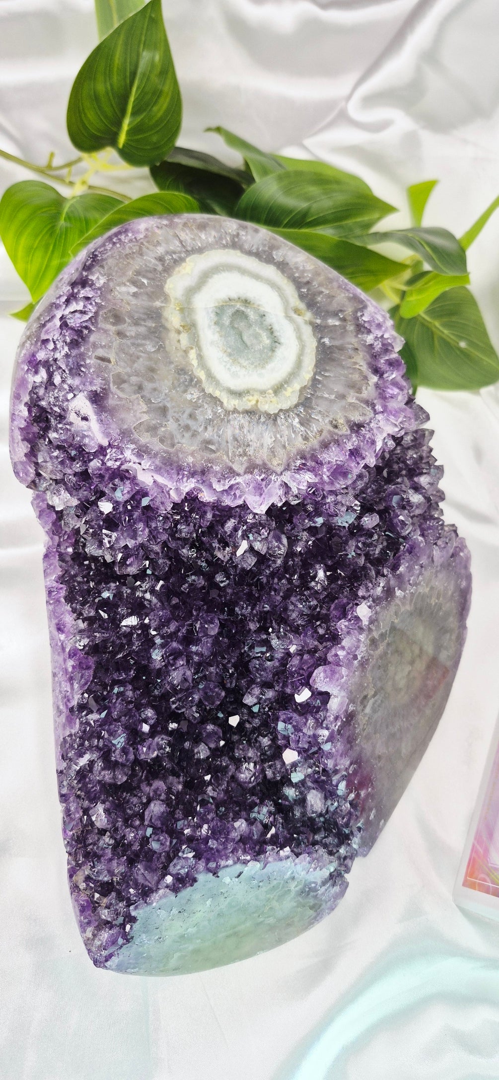 Statement Piece A Grade Amethyst Cluster