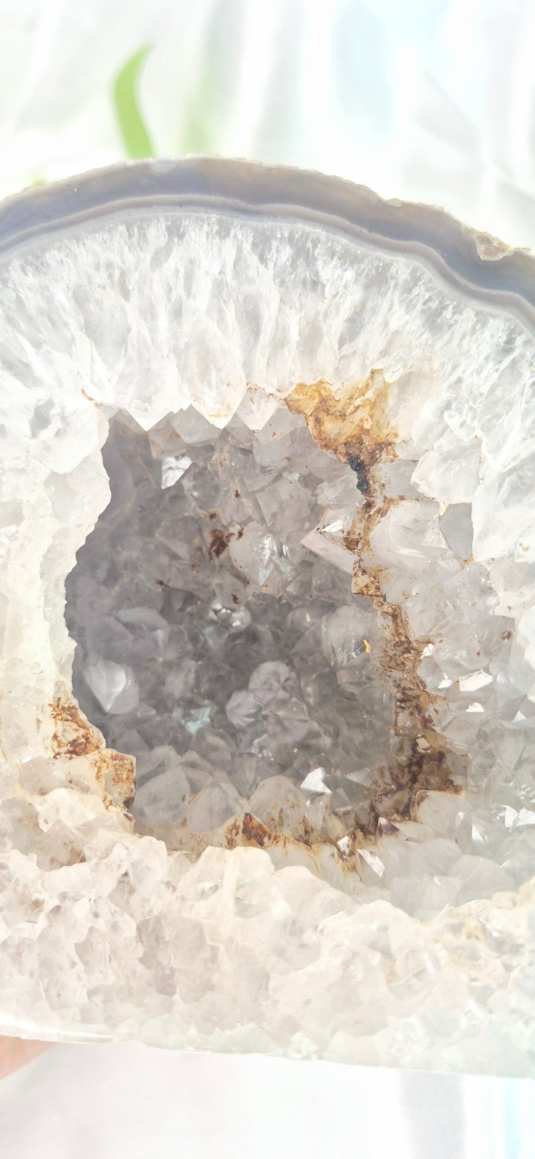 Statement Piece Polished Druzy Agate Geode