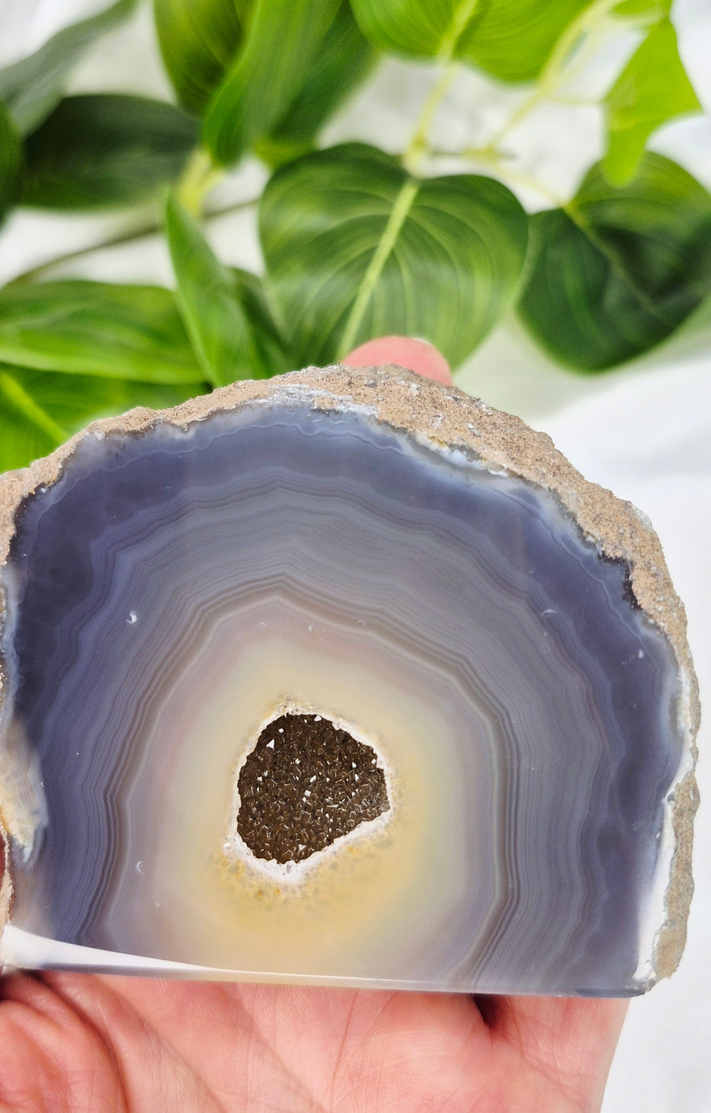 Polished Druzy Agate Geode