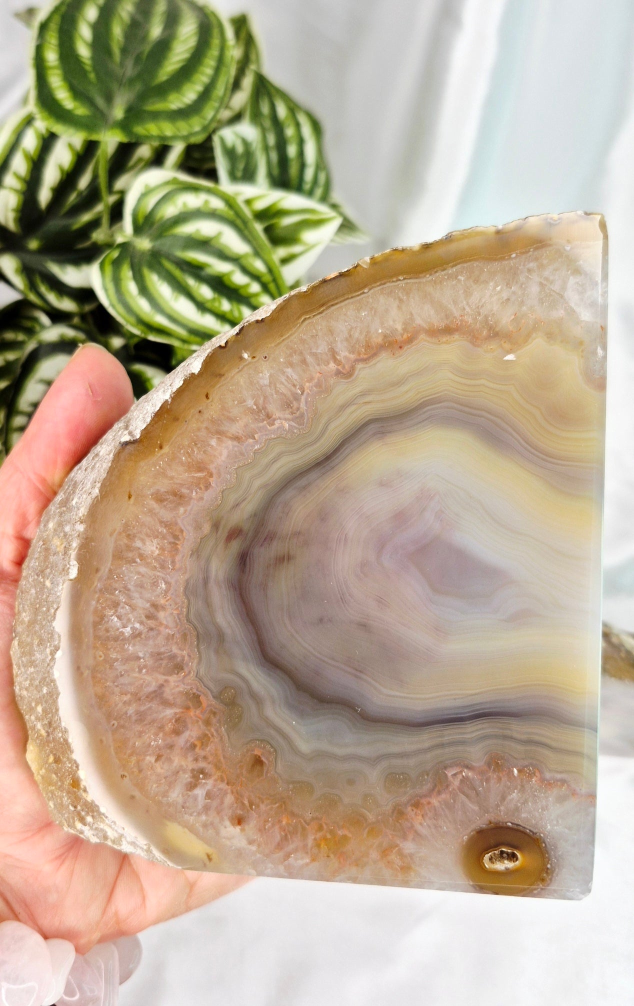 Statement Piece Polished Agate Geode Bookends