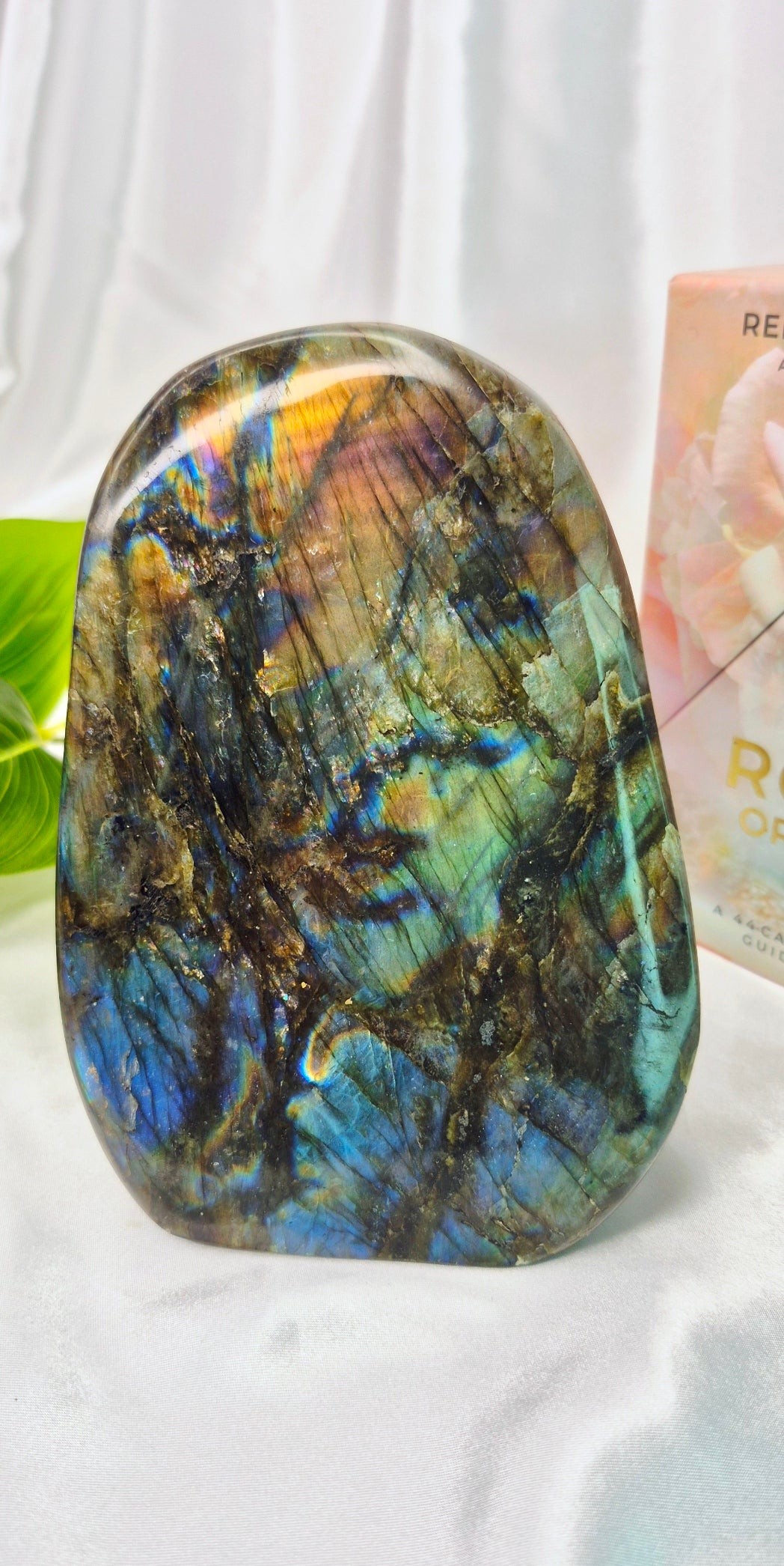 Statement Piece Labradorite Polished Freeform