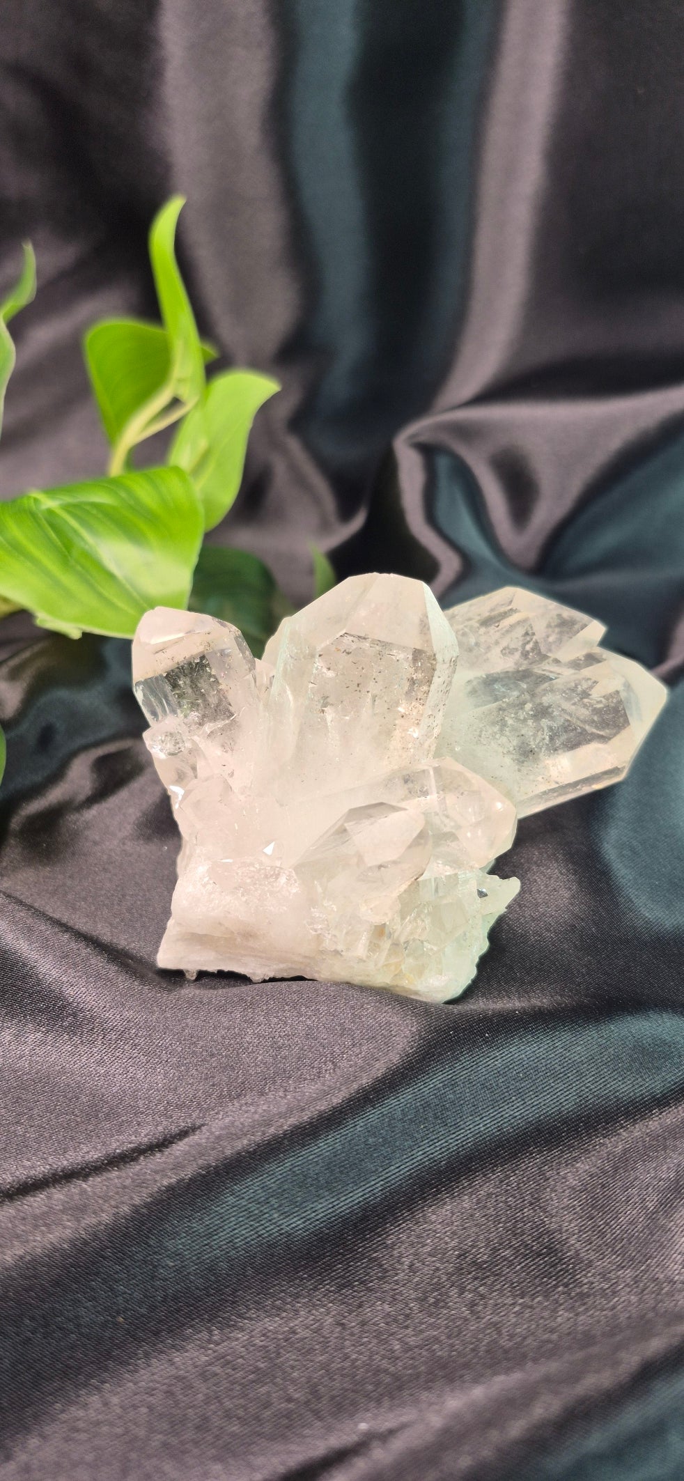 Terminated Clear Quartz Cluster