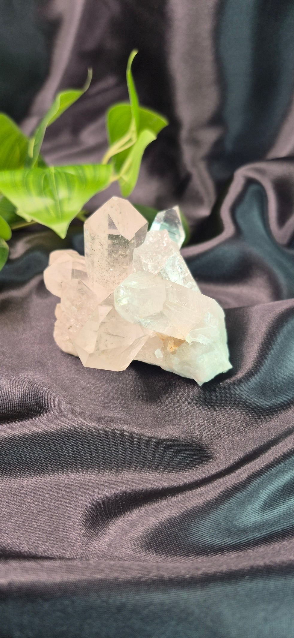 Terminated Clear Quartz Cluster