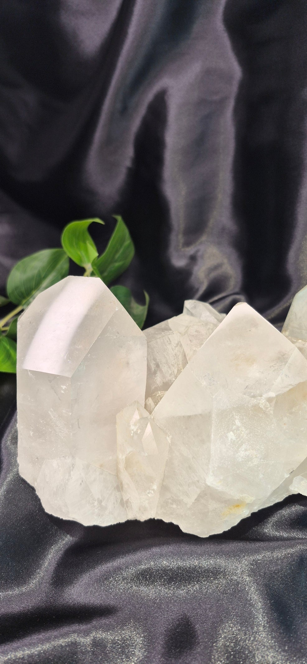 Statement Piece Clear Quartz Terminated Cluster