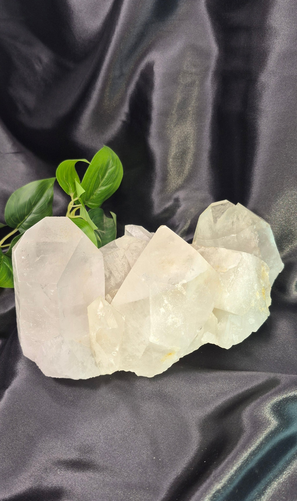 Statement Piece Clear Quartz Terminated Cluster