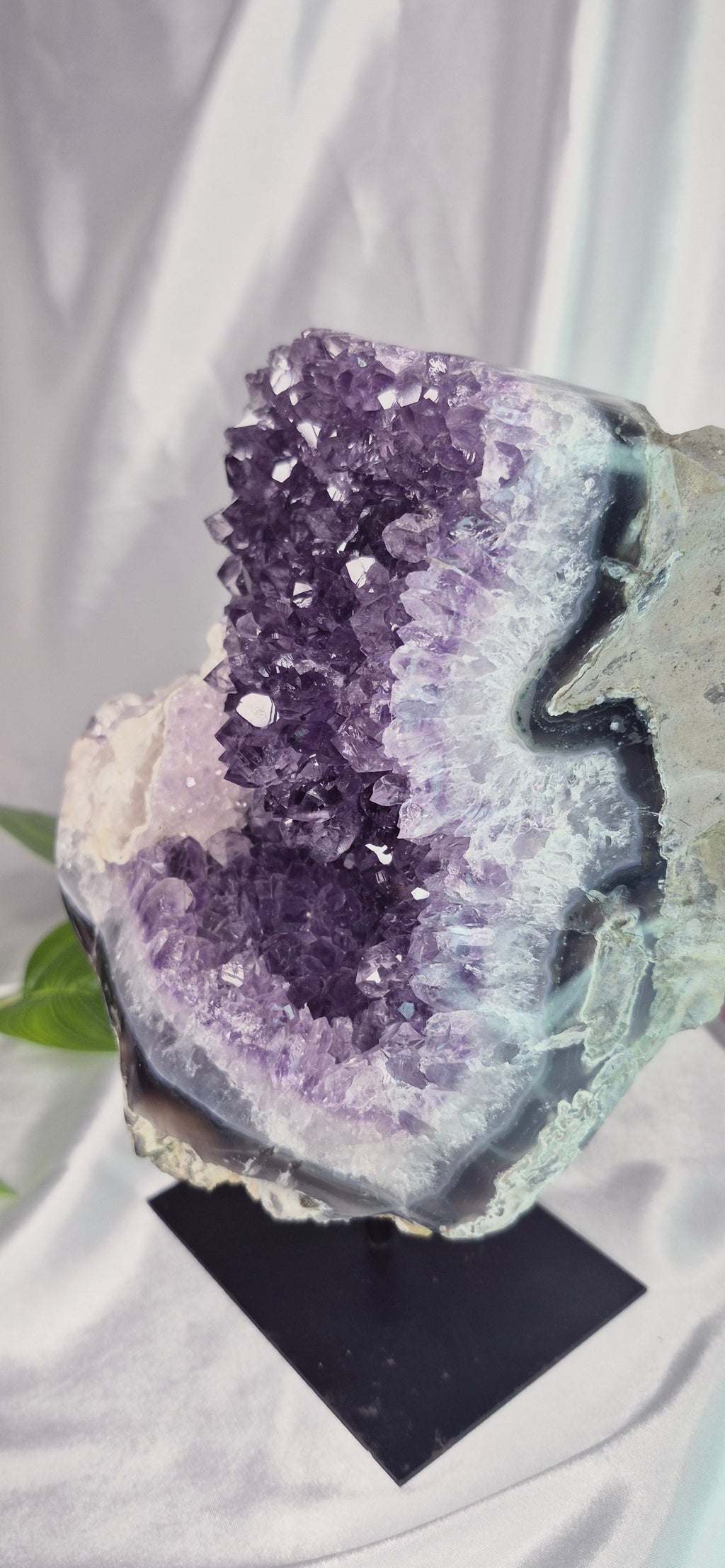 Statement Piece A Grade Amethyst Cluster on Stand