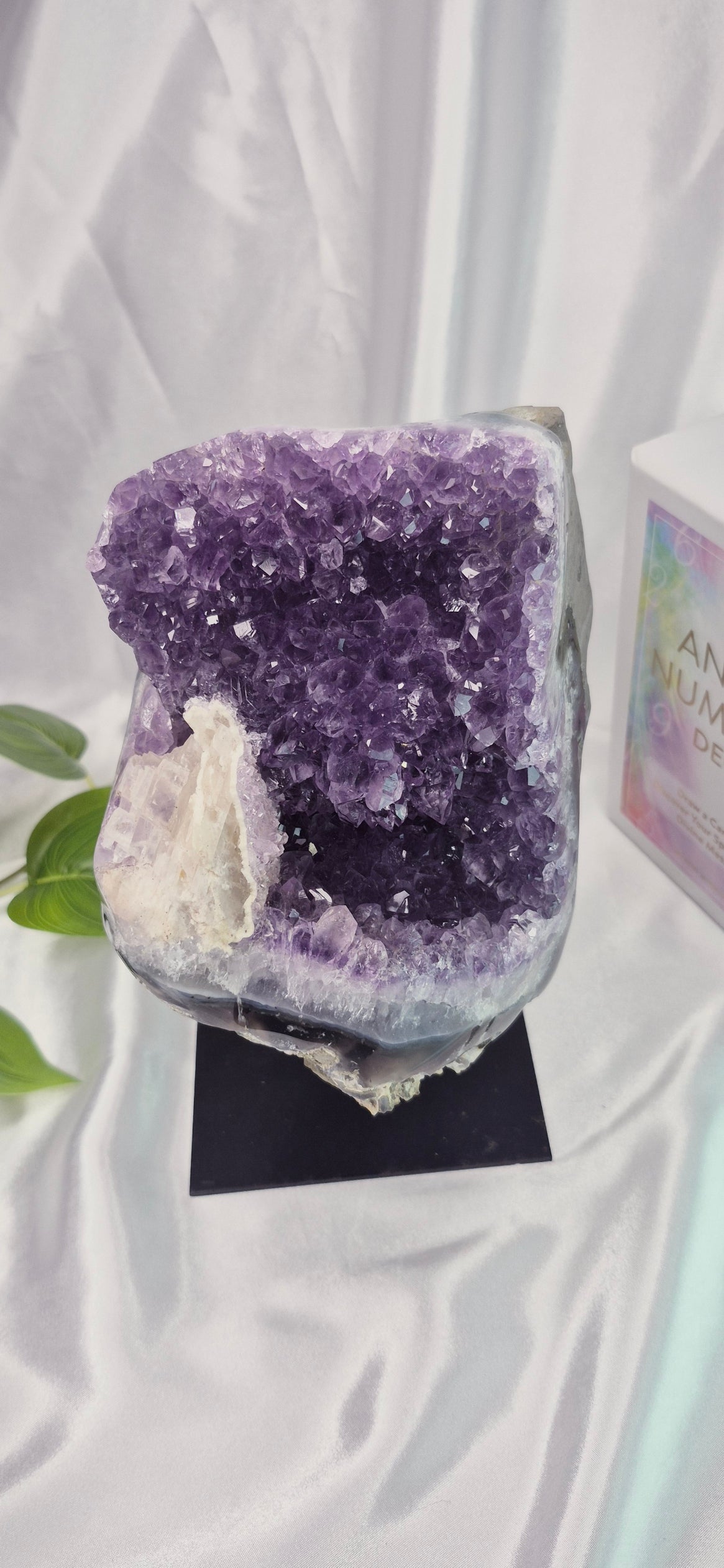 Statement Piece A Grade Amethyst Cluster on Stand