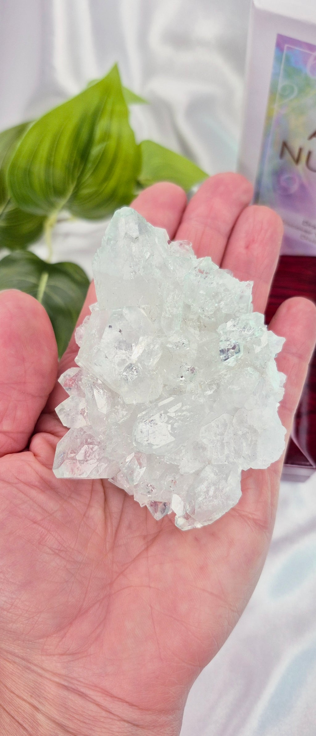 Apophyllite Cluster Specimen #A
