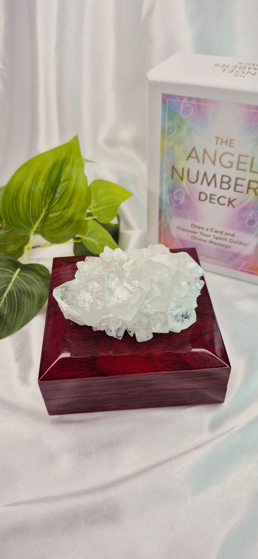 Apophyllite Cluster Specimen #A