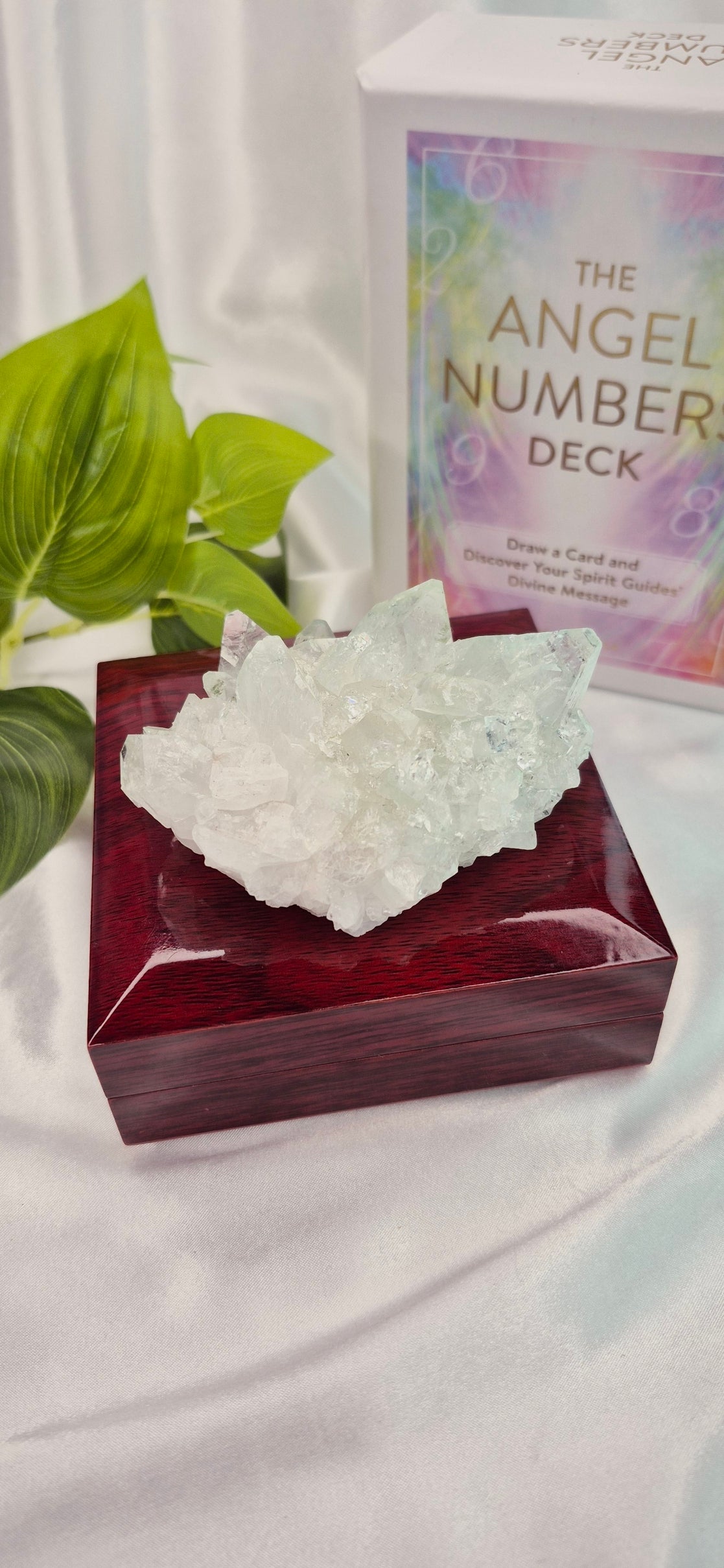 Apophyllite Cluster Specimen #A