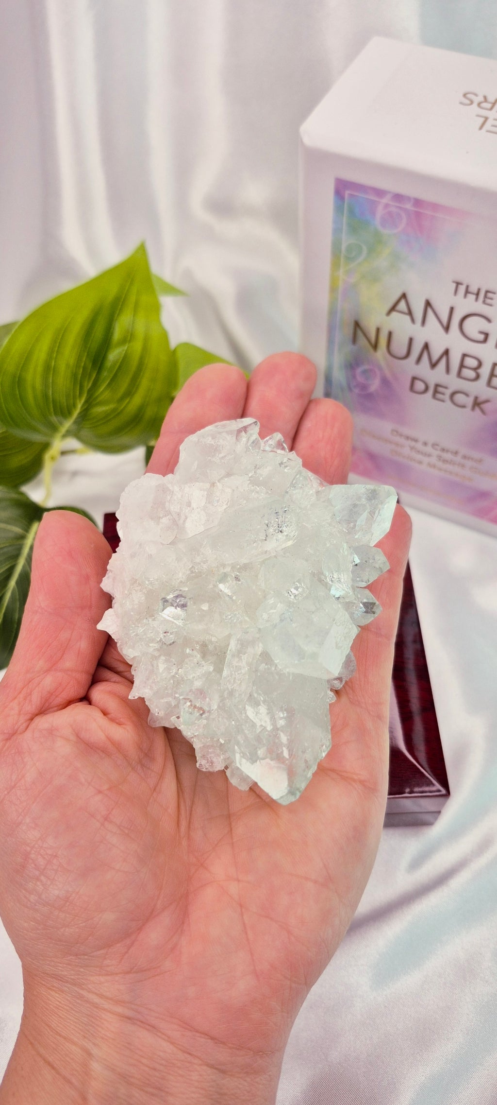 Apophyllite Cluster Specimen #A