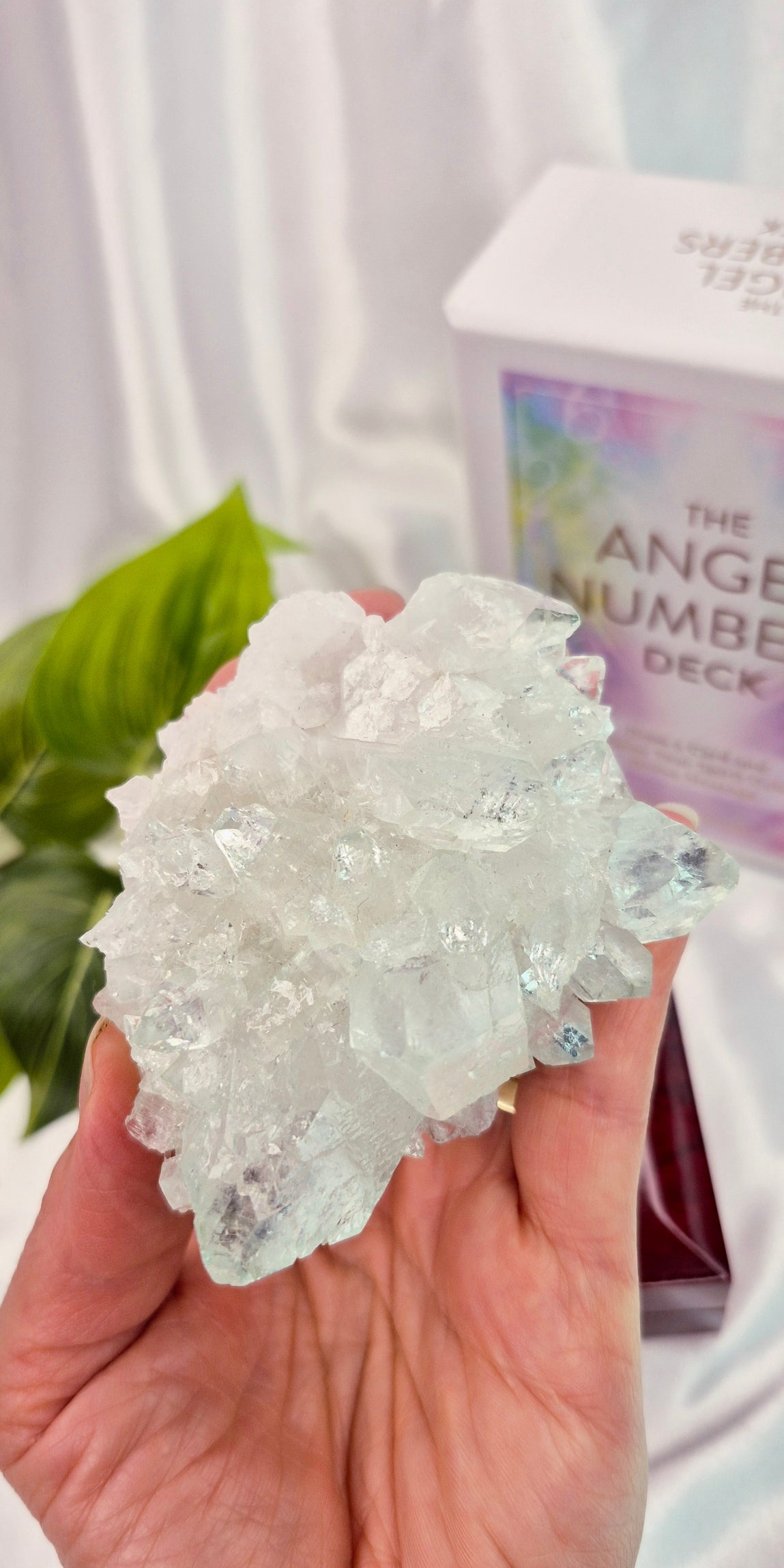 Apophyllite Cluster Specimen #A