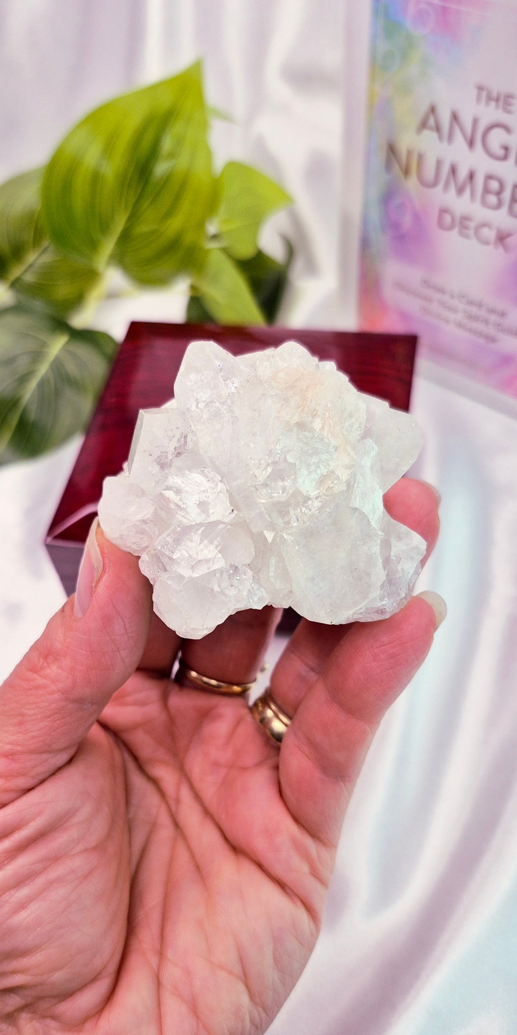 Apophyllite Cluster Specimen #E