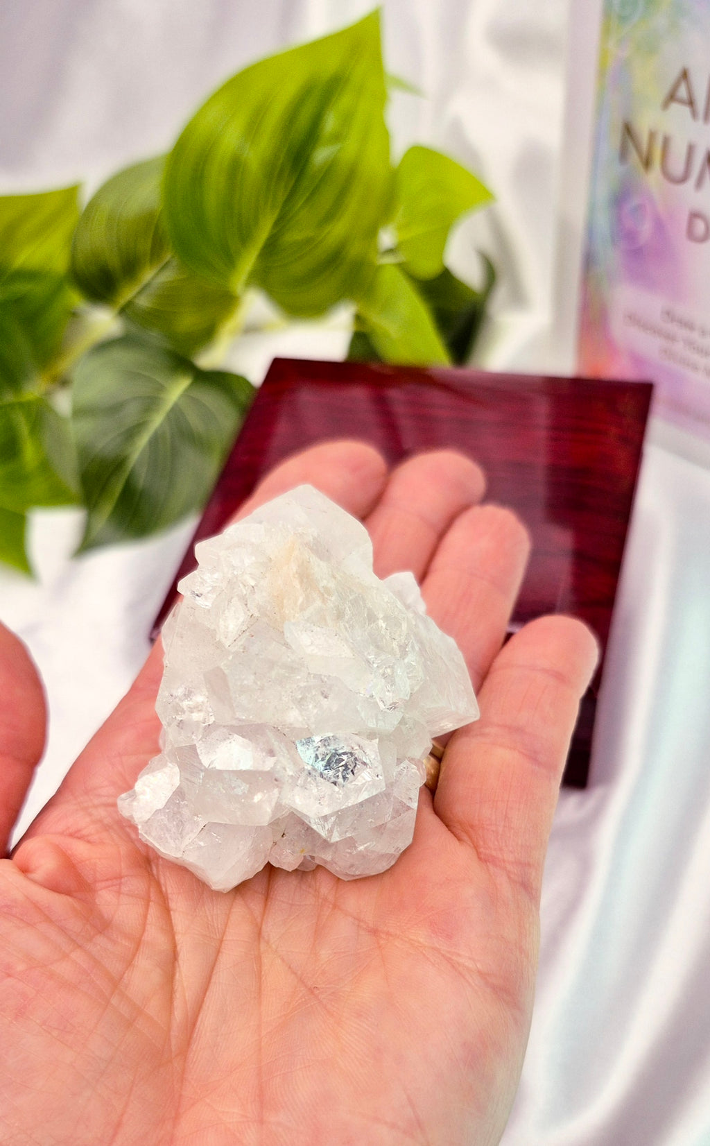 Apophyllite Cluster Specimen #E