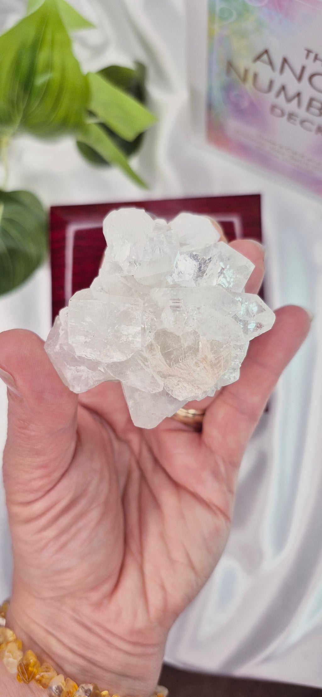 Apophyllite Cluster Specimen #E