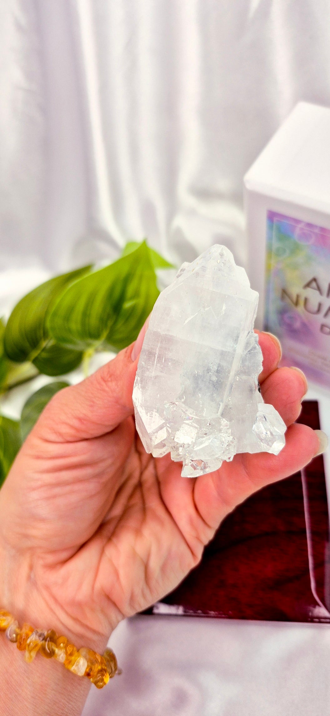 Apophyllite Cluster Specimen #B