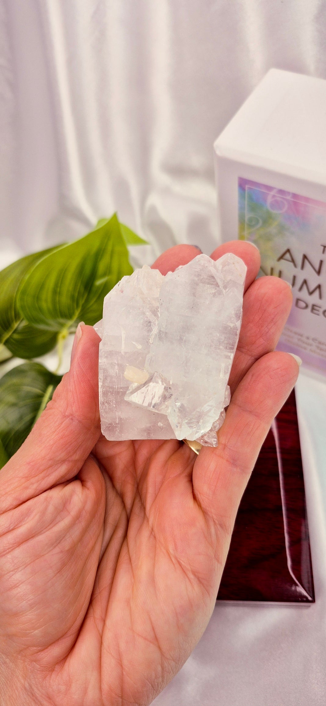 Apophyllite Cluster Specimen #B