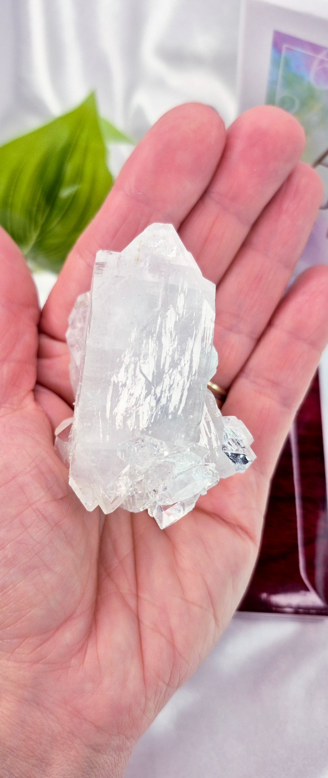 Apophyllite Cluster Specimen #B