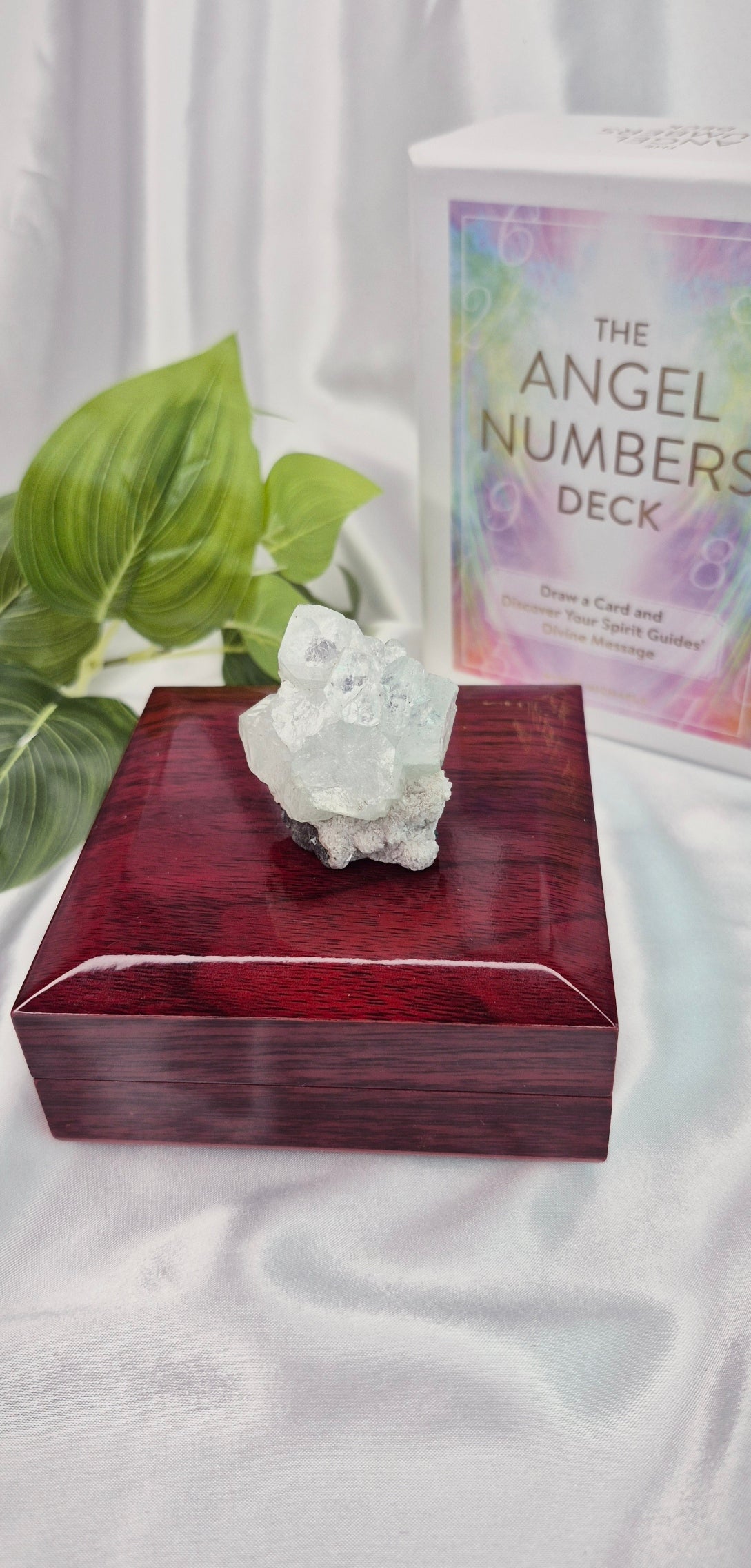 Apophyllite Cluster Specimen #C