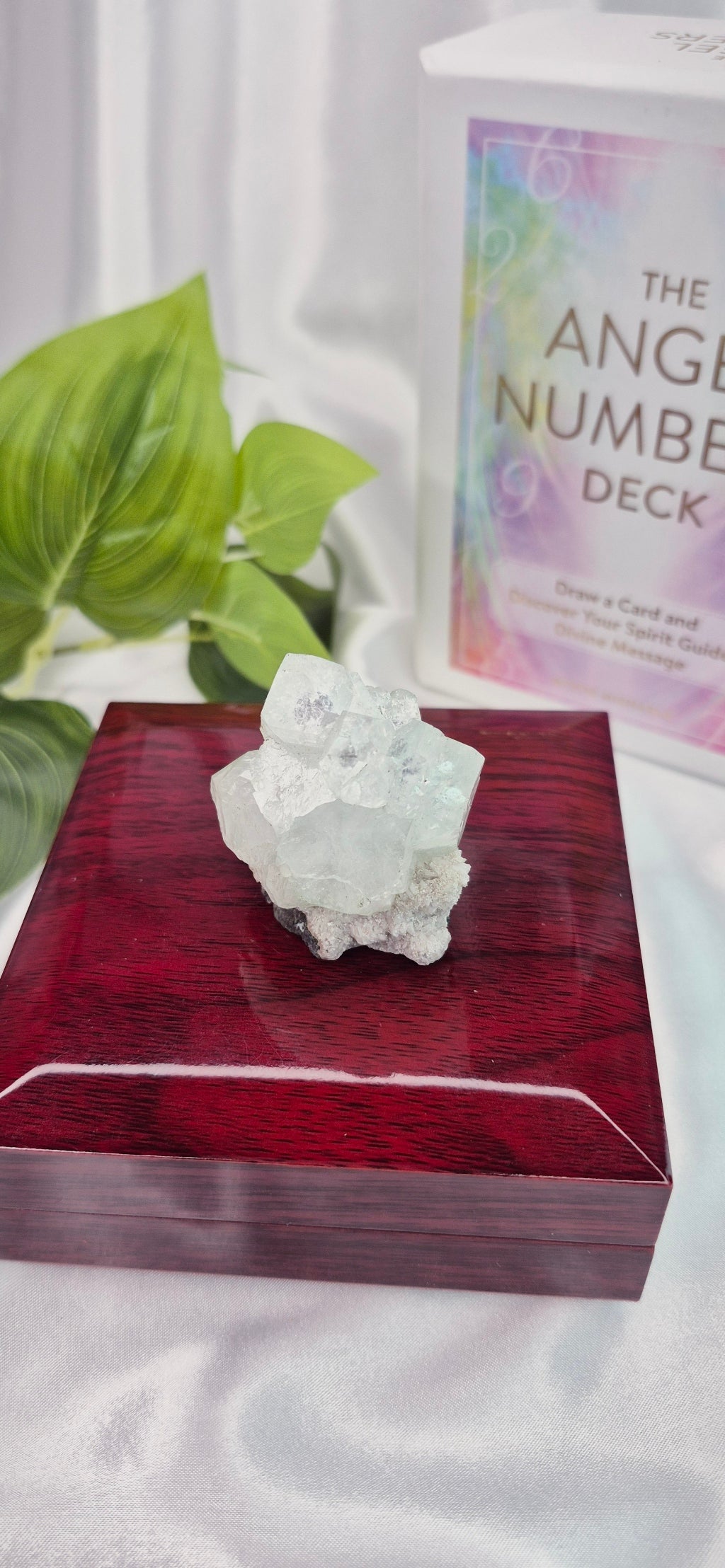 Apophyllite Cluster Specimen #C