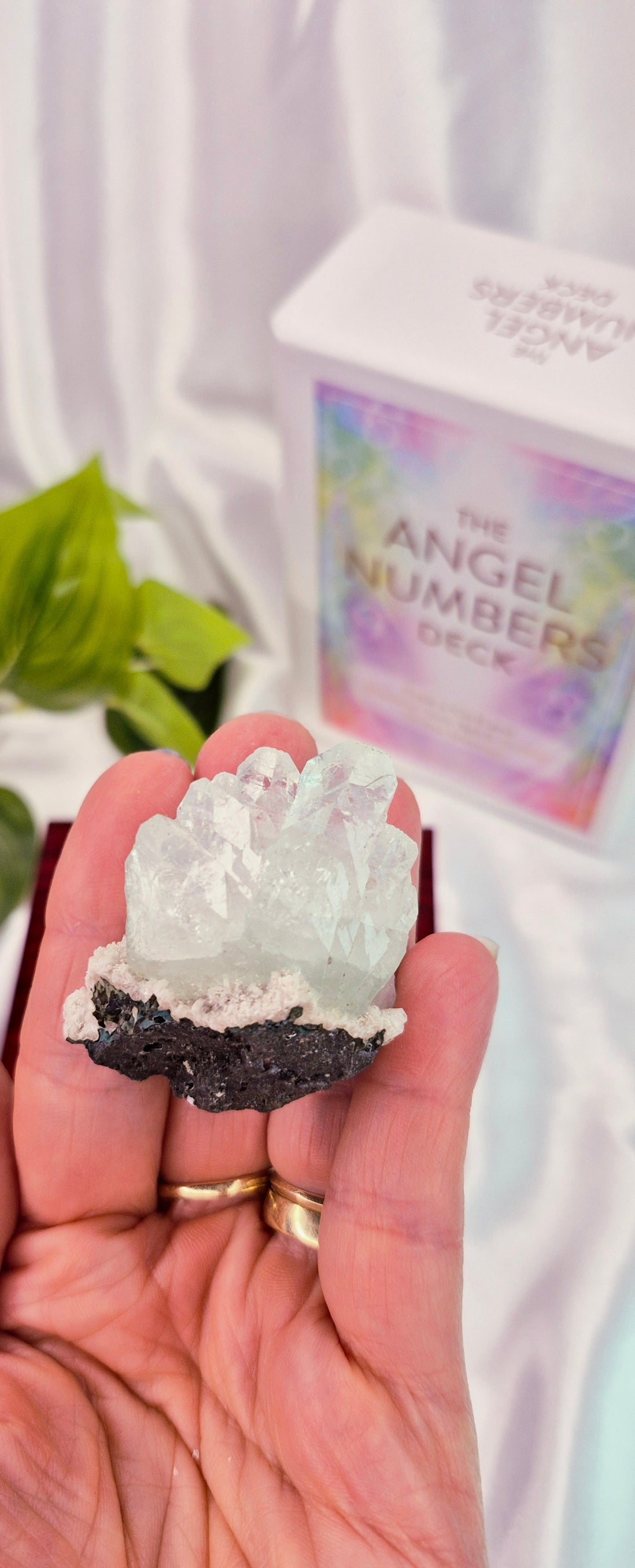 Apophyllite Cluster Specimen #C