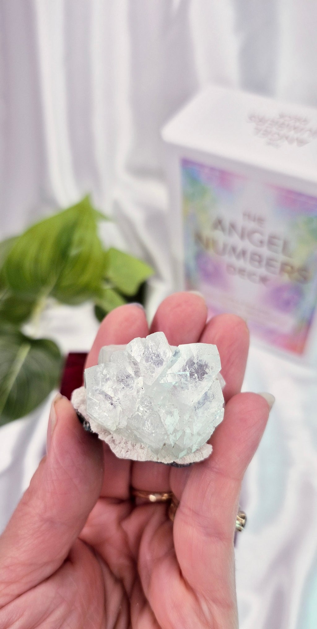 Apophyllite Cluster Specimen #C