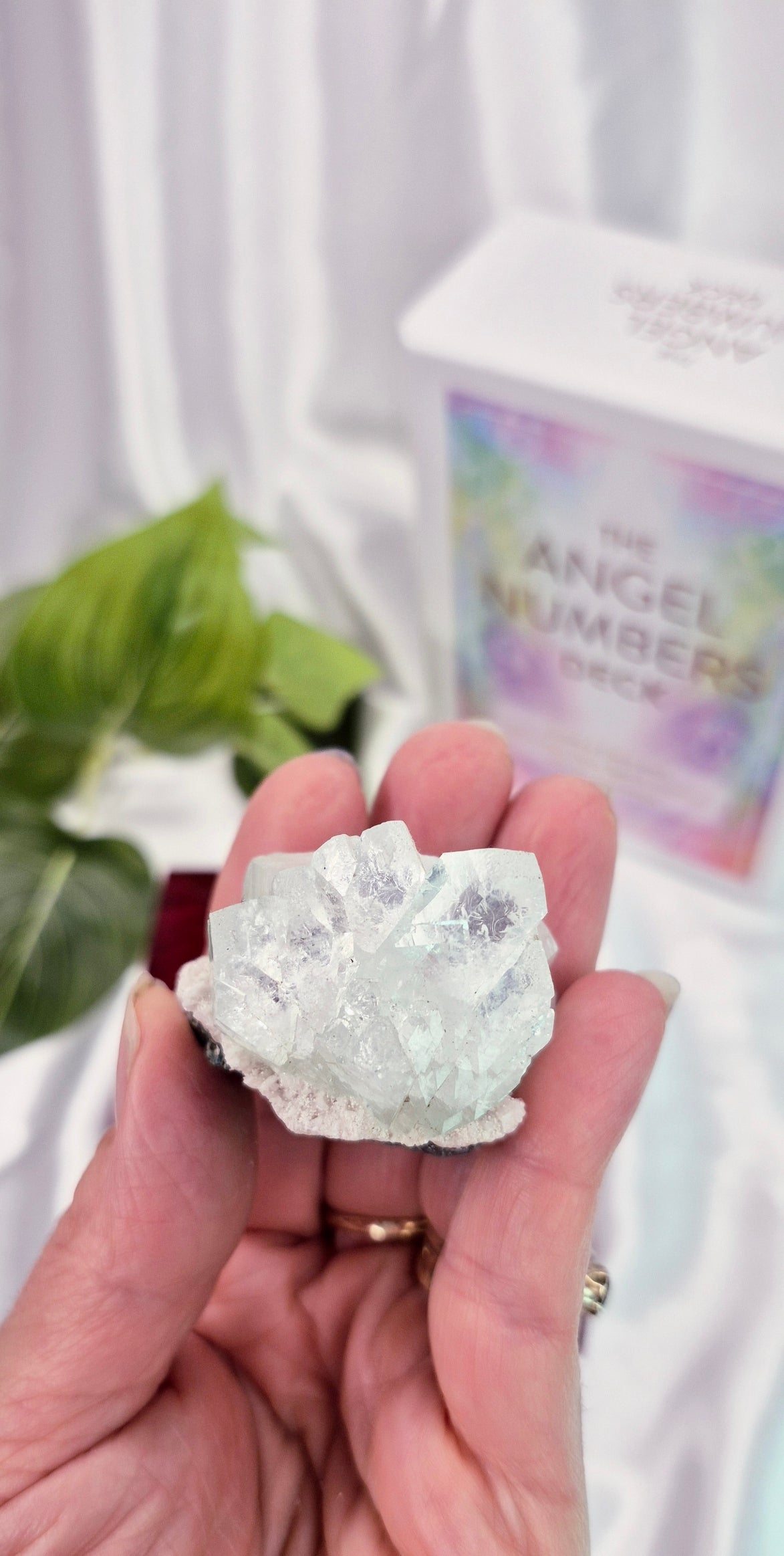 Apophyllite Cluster Specimen #C