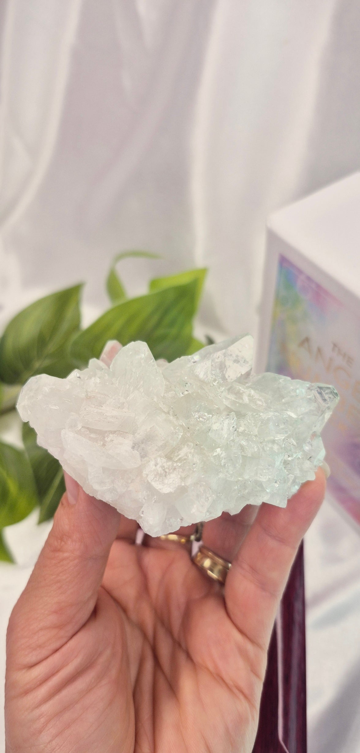 Apophyllite Cluster Specimen #A