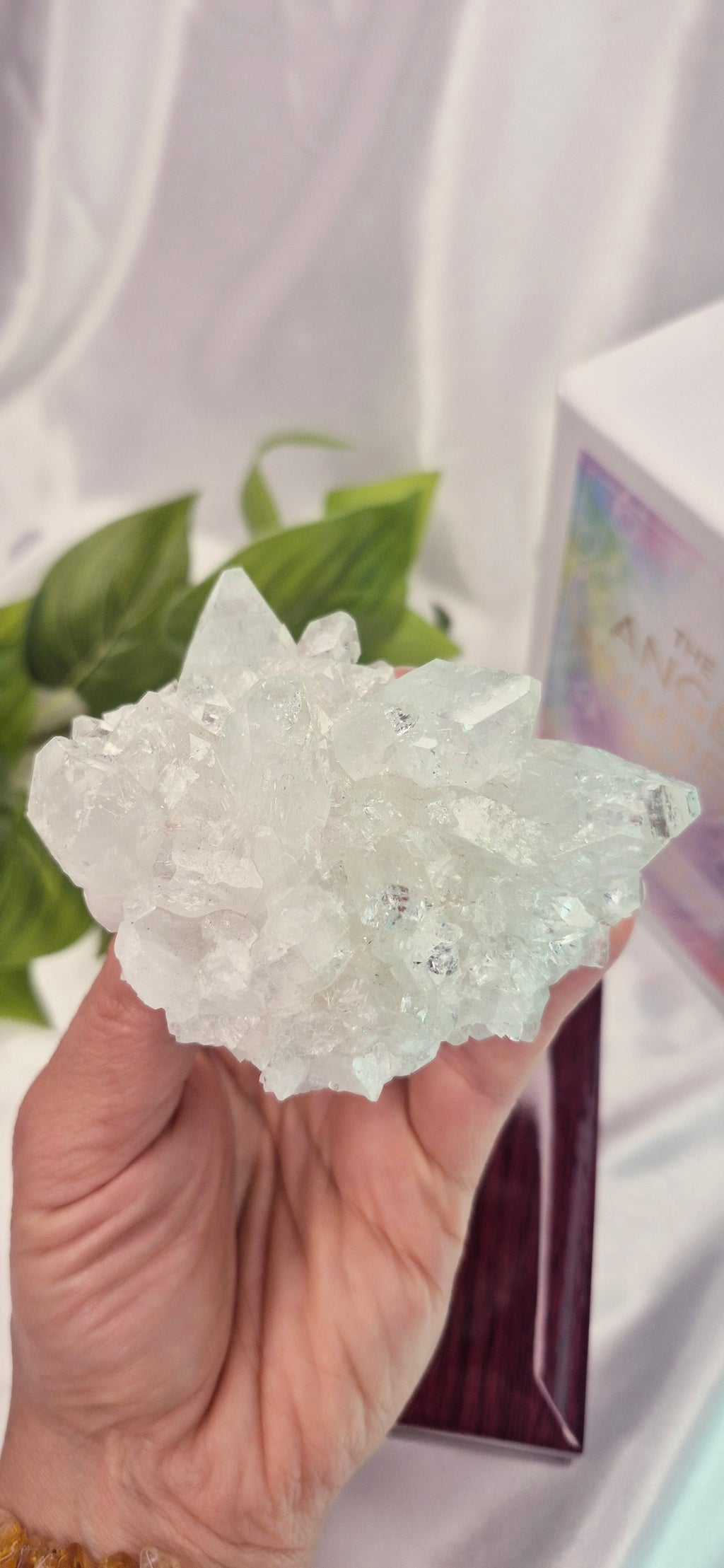 Apophyllite Cluster Specimen #A