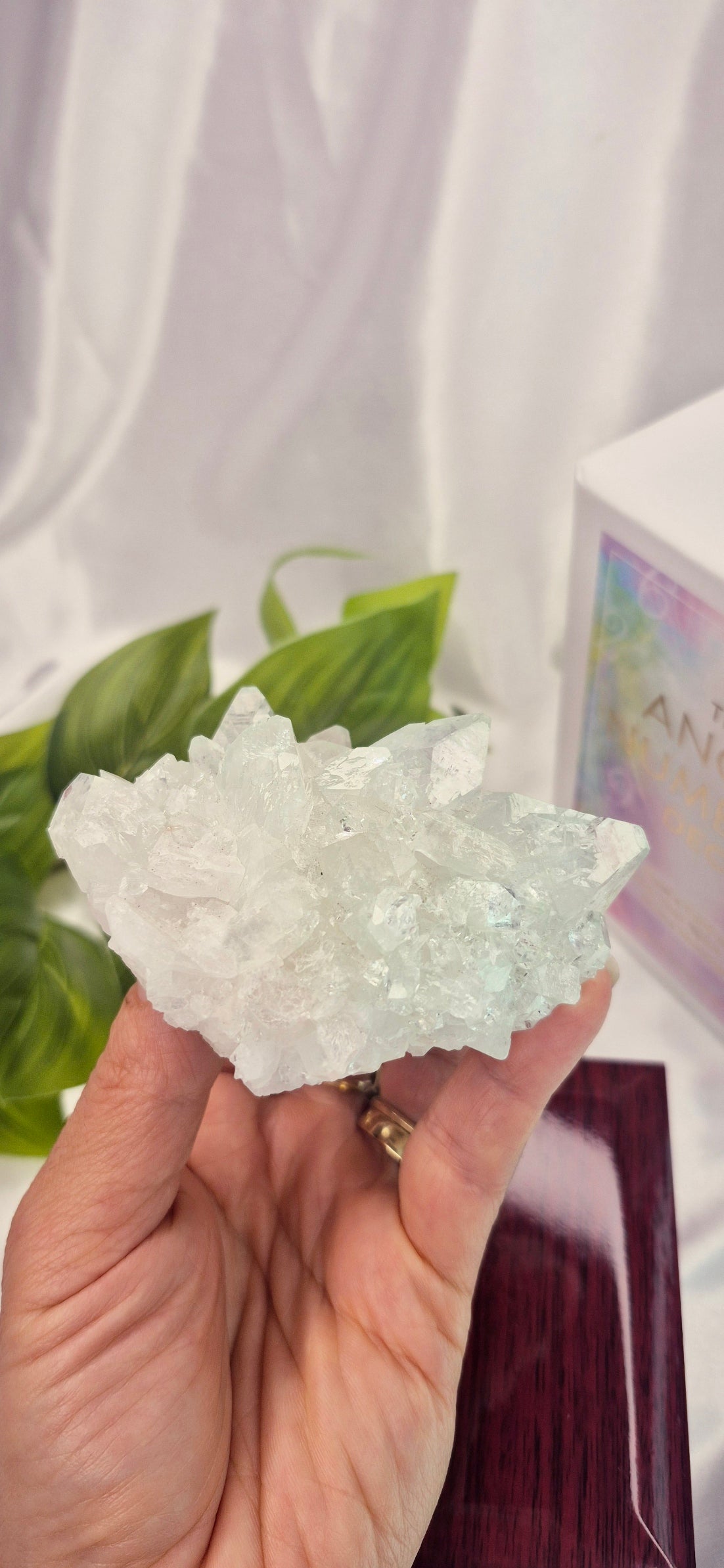 Apophyllite Cluster Specimen #A