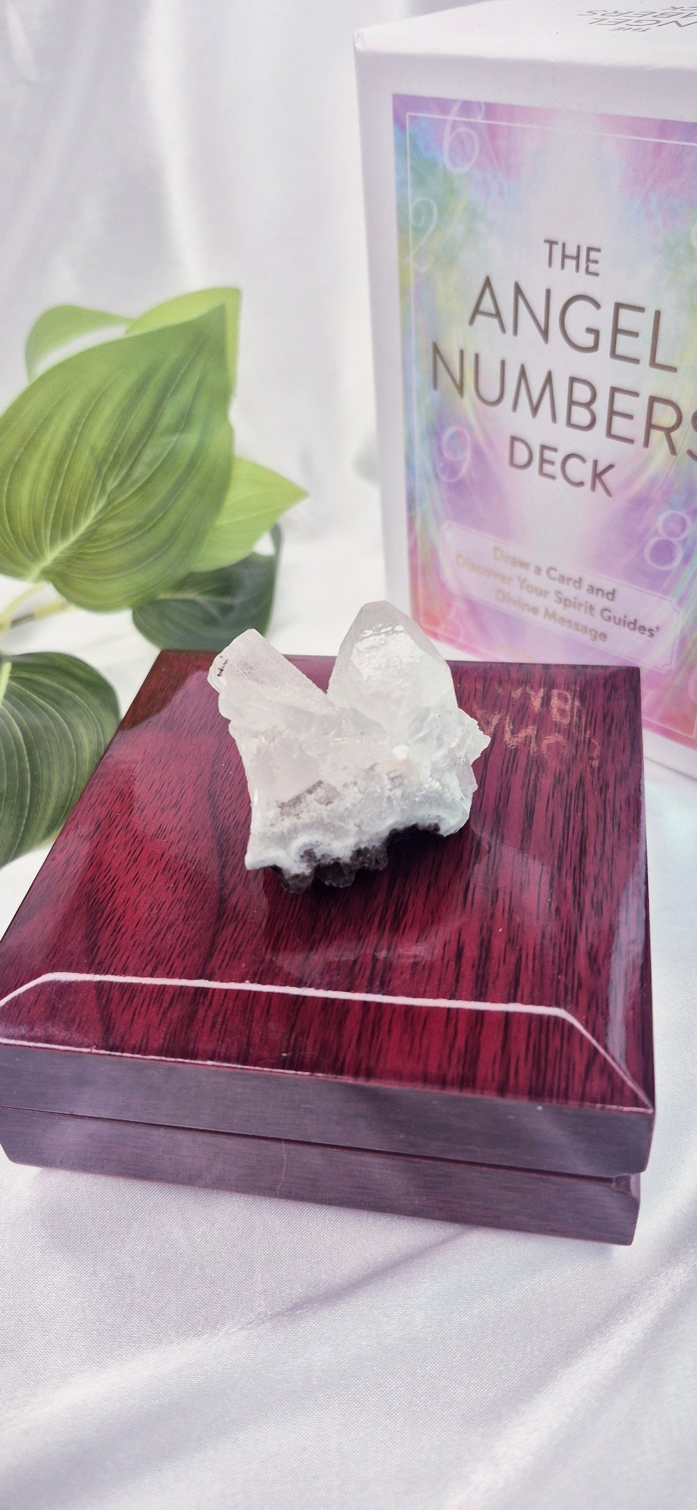 Apophyllite Mini Cluster Specimen #D