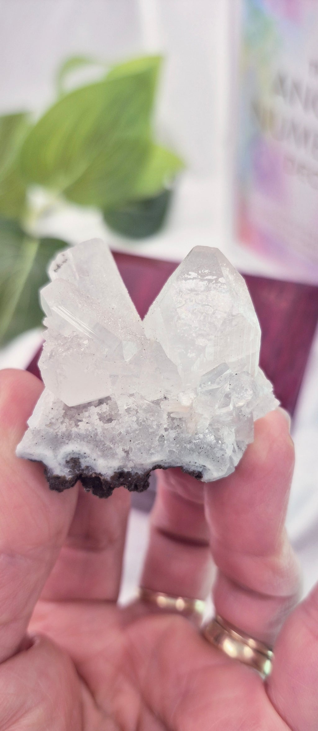 Apophyllite Mini Cluster Specimen #D