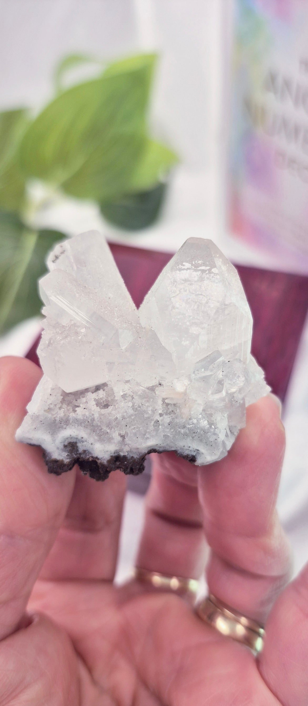 Apophyllite Mini Cluster Specimen #D