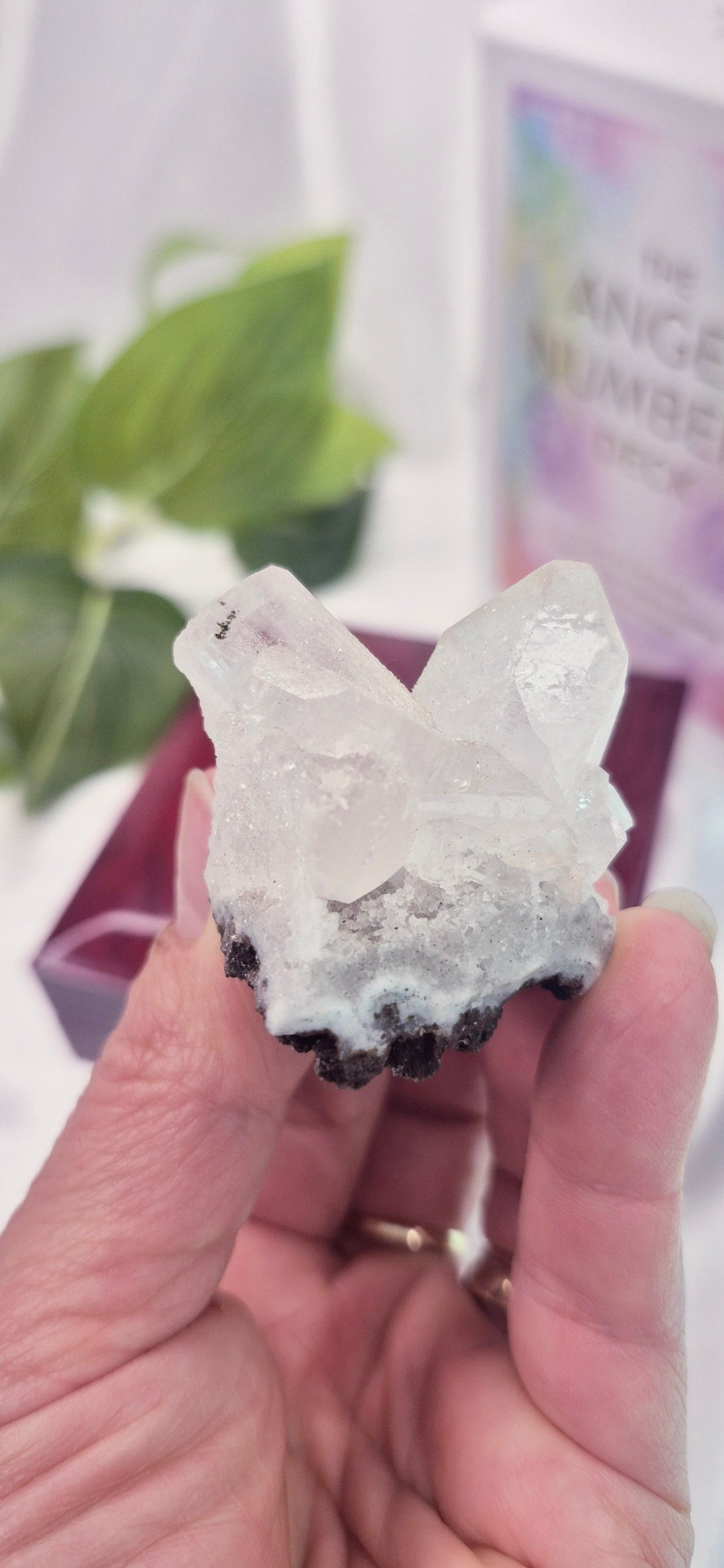 Apophyllite Mini Cluster Specimen #D