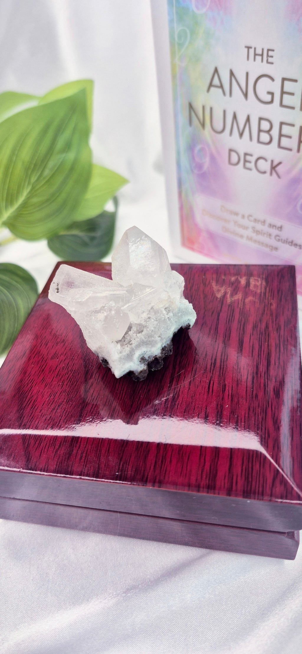 Apophyllite Mini Cluster Specimen #D