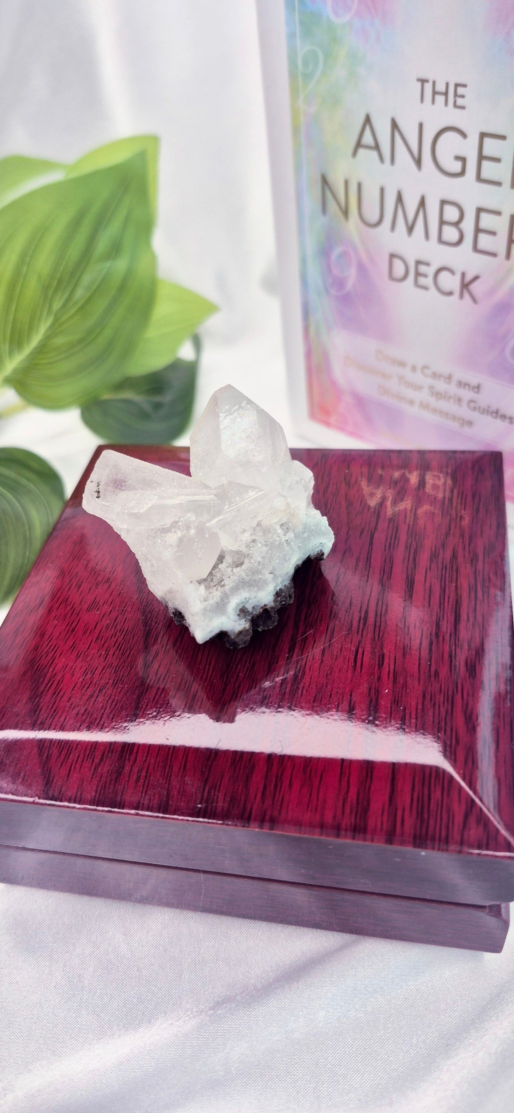 Apophyllite Mini Cluster Specimen #D