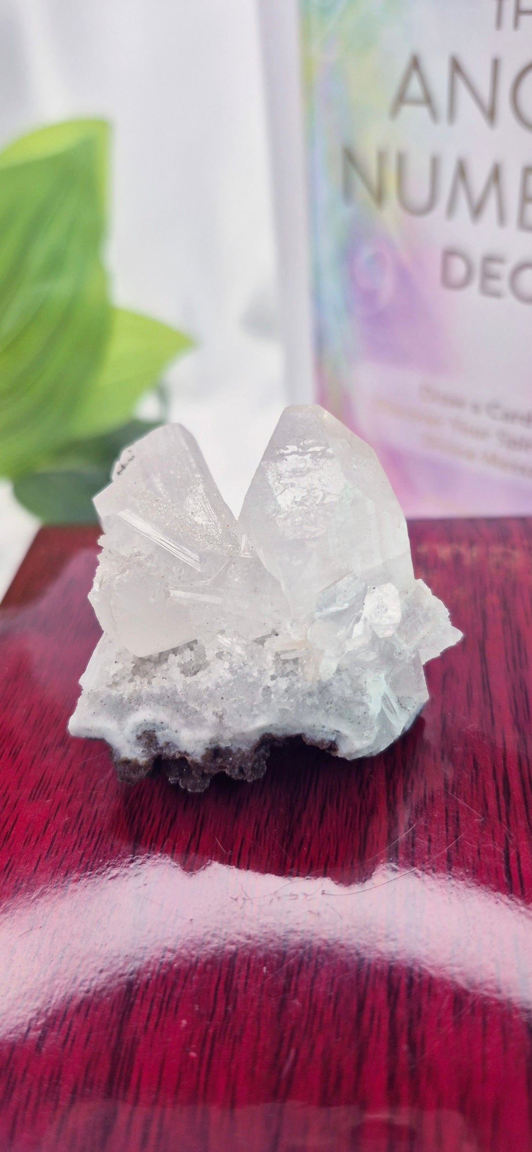 Apophyllite Mini Cluster Specimen #D