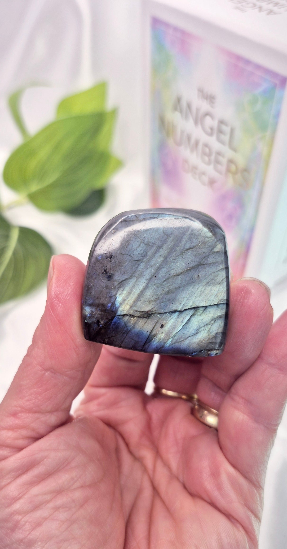 Labradorite Mini Free Form Carving