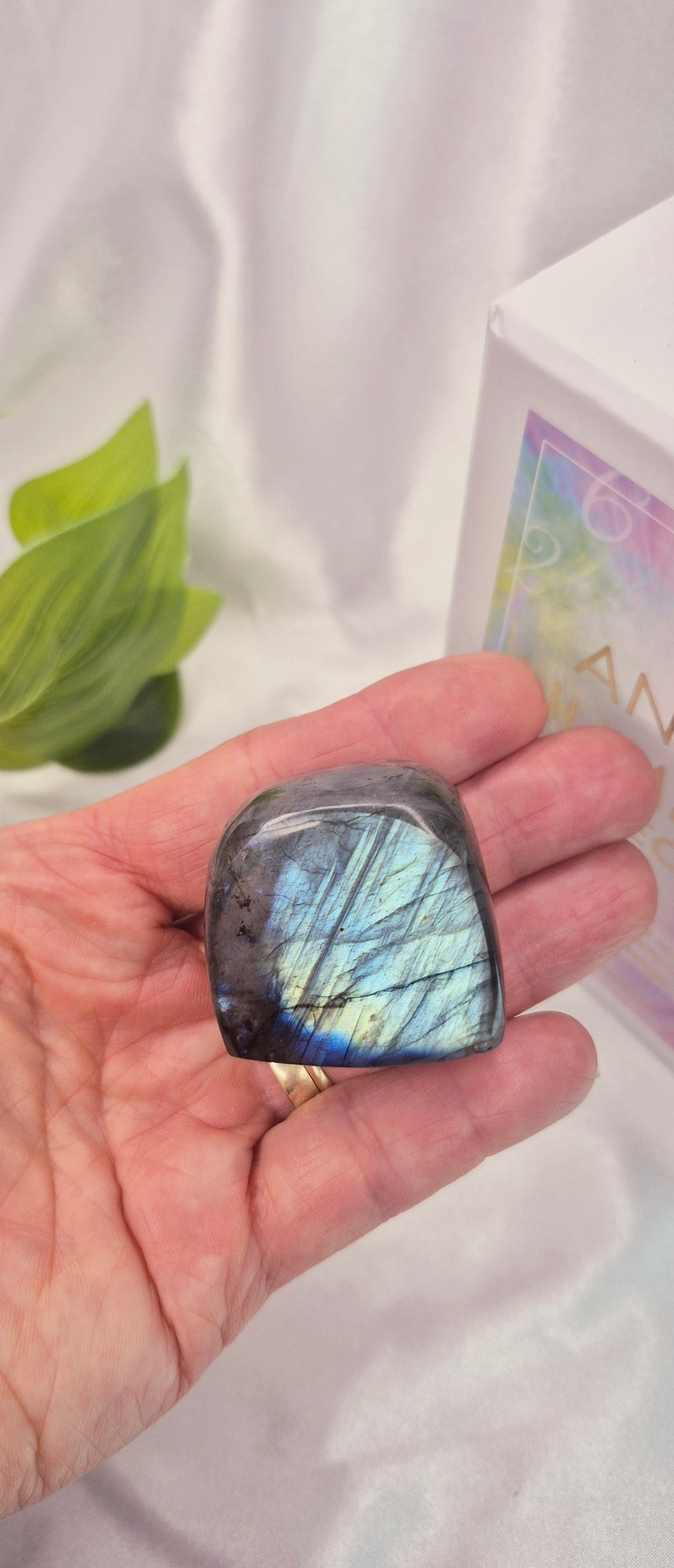 Labradorite Mini Free Form Carving